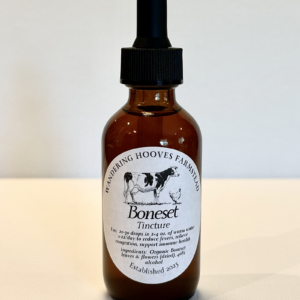 boneset tincture bottle