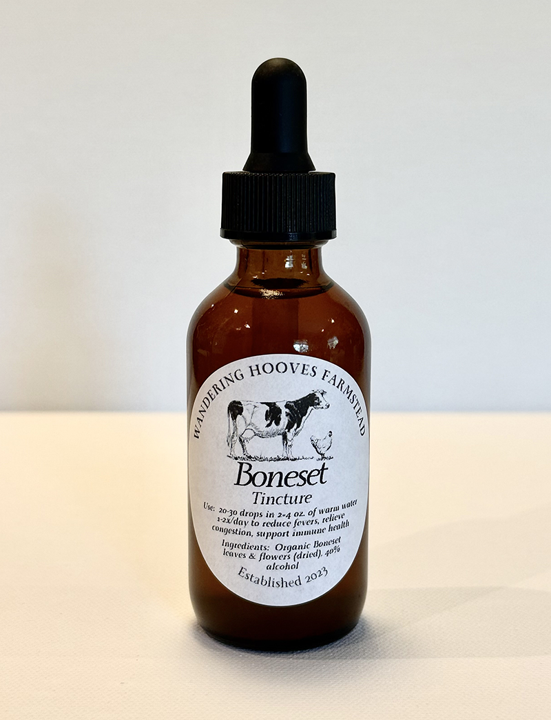 boneset tincture bottle