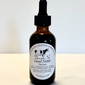 dead nettle tincture bottle