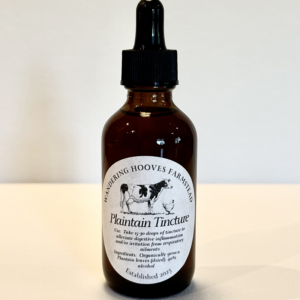 plaintain tincture bottle