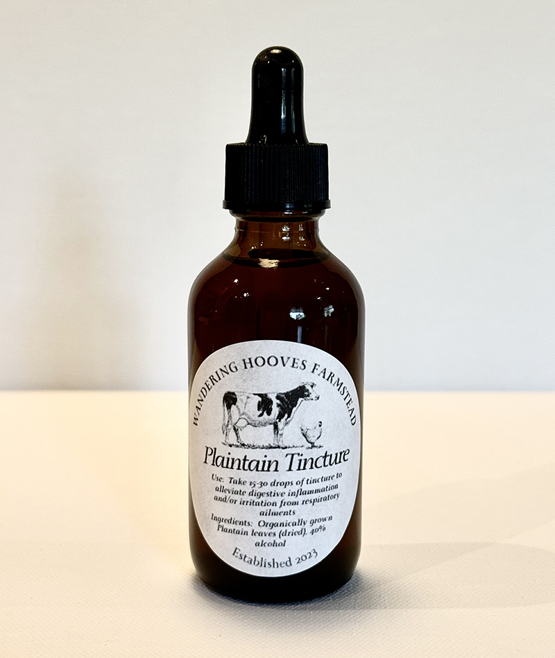 plaintain tincture bottle