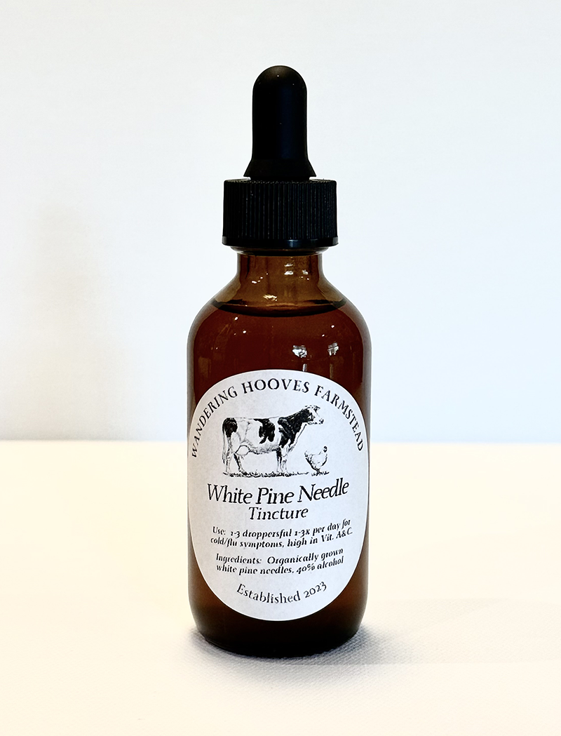white pine needle tincture bottle